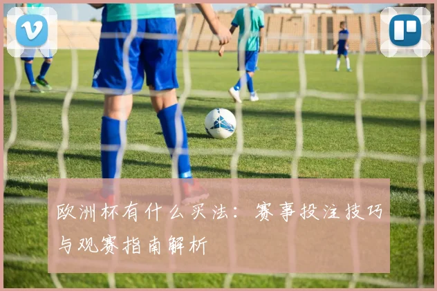 欧洲杯有什么买法:赛事投注技巧与观赛指南解析