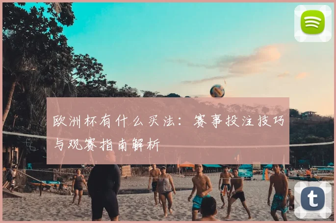 欧洲杯有什么买法:赛事投注技巧与观赛指南解析