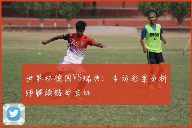 世界杯德国VS瑞典:专访彩票分析师解读赔率玄机