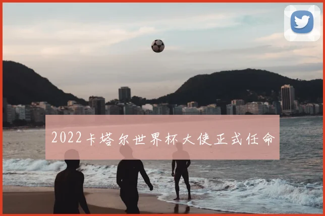 2022卡塔尔世界杯大使正式任命