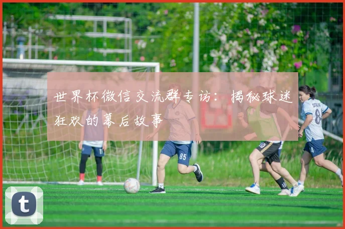 世界杯微信交流群专访：揭秘球迷狂欢的幕后故事