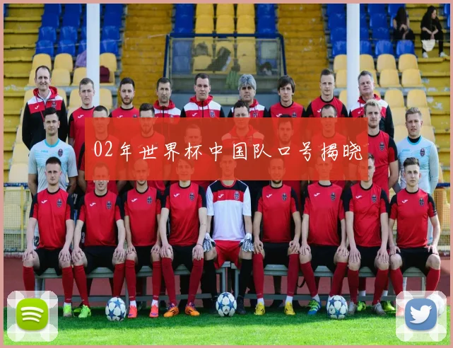 02年世界杯中国队口号揭晓